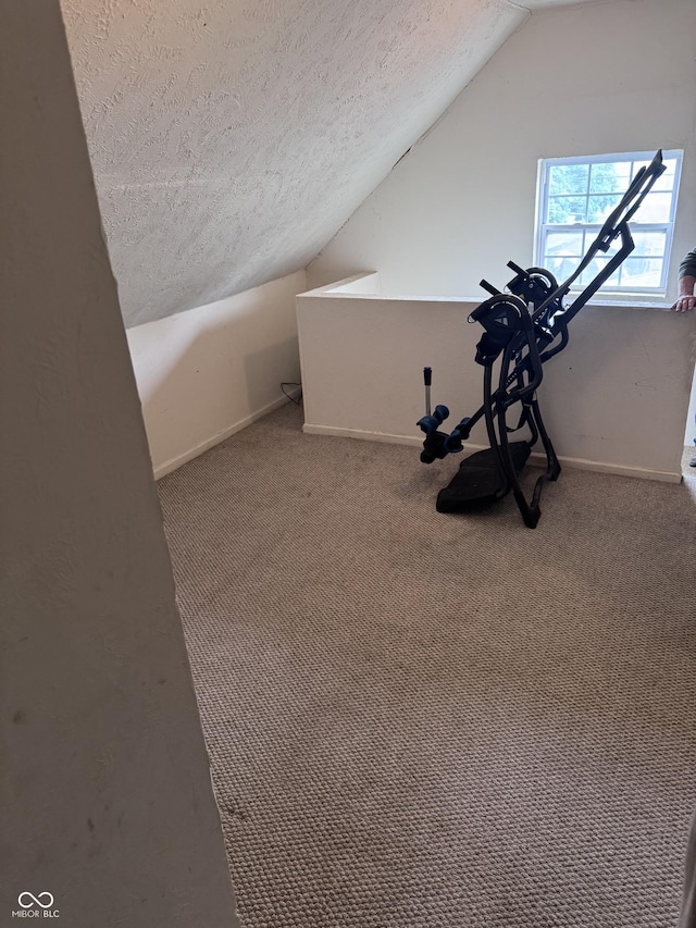2208 S F St, Elwood, IN 46036 - workout area featuring a textured ceiling, lofted ceiling, baseboards, and carpet flooring