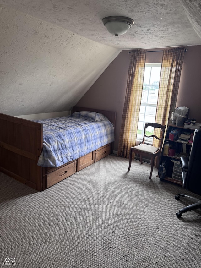 2208 S F St, Elwood, IN 46036 - bedroom featuring a textured ceiling, carpet flooring, and lofted ceiling