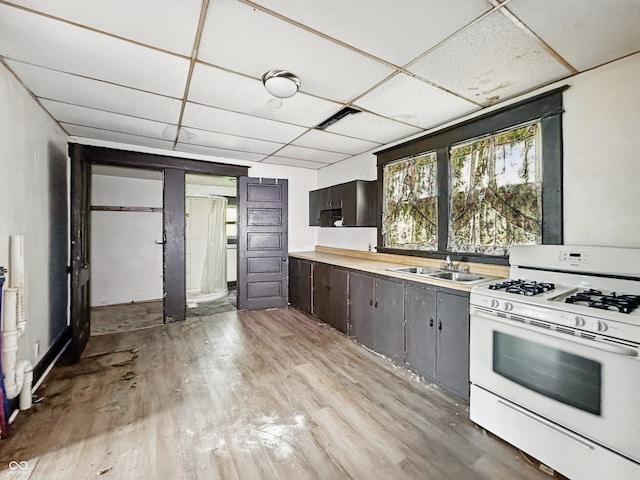 526 N Centennial St, Indianapolis, IN 46222 - kitchen featuring white gas stove, a paneled ceiling, a sink, light wood-type flooring, and light countertops
