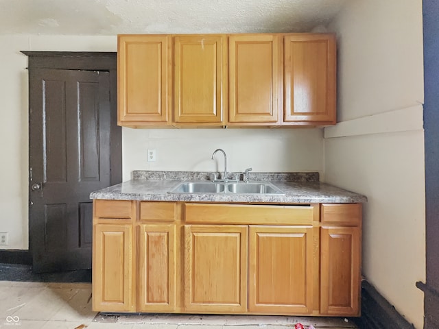 526 N Centennial St, Indianapolis, IN 46222 - kitchen featuring a sink and light countertops