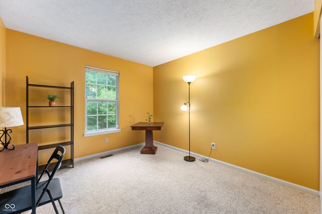 6263 Behner Way, Indianapolis, IN 46250 - unfurnished office with carpet flooring, a textured ceiling, and baseboards