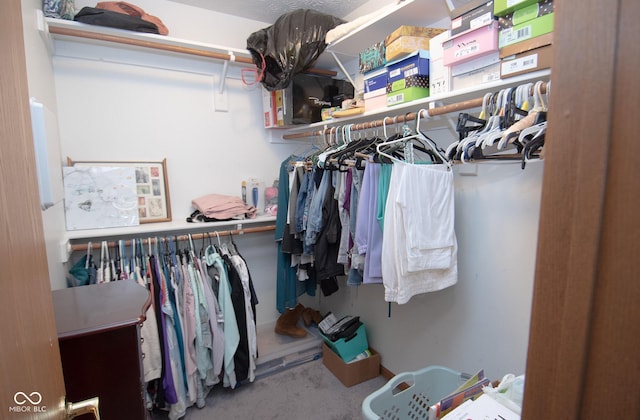 540 Cahill Ln, Indianapolis, IN 46214 - spacious closet with carpet flooring