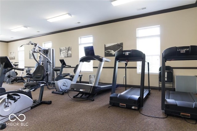 17399 Dovehouse Ln, Westfield, IN 46074 - gym with ornamental molding, plenty of natural light, and carpet flooring