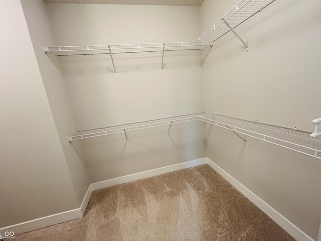 17399 Dovehouse Ln, Westfield, IN 46074 - spacious closet featuring carpet
