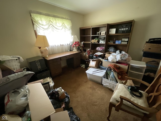 851 E Franklin St, Spencer, IN 47460 - view of carpeted office