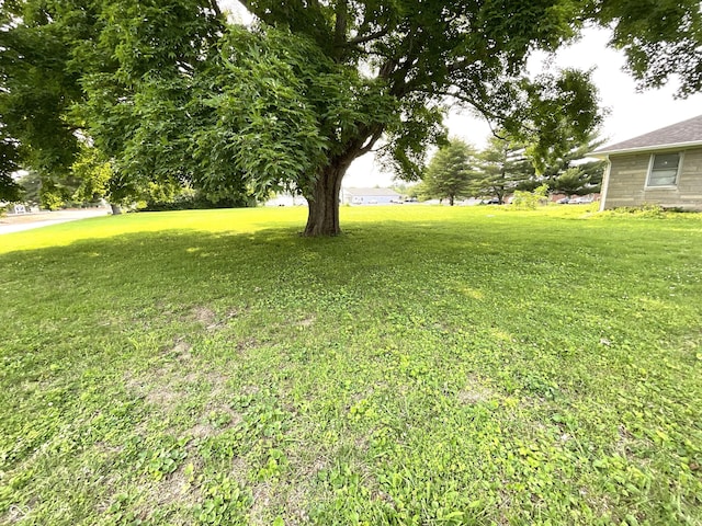851 E Franklin St, Spencer, IN 47460 - view of grassy yard
