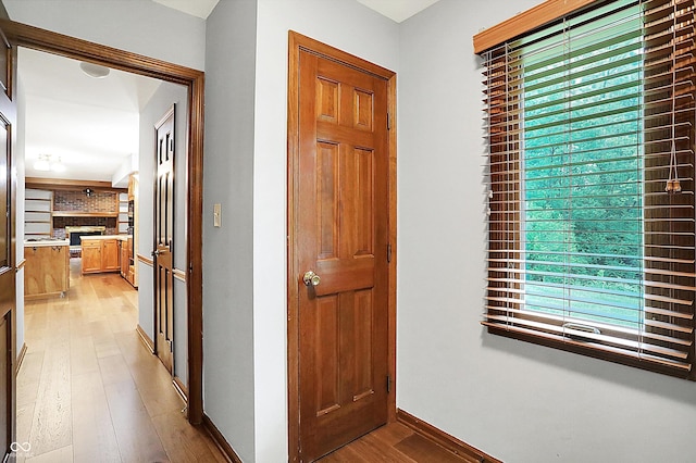 11469 Woodview Ct, Fishers, IN 46038 - hallway with light wood-style flooring and baseboards
