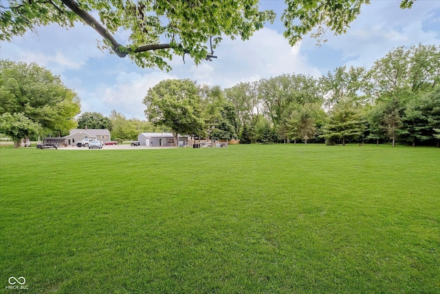1254 N State Road 39, Frankfort, IN 46041 - view of grassy yard