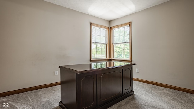 719 E New Rd, Greenfield, IN 46140 - carpeted home office featuring baseboards