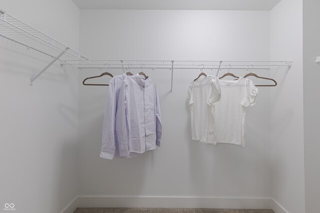 1085 Bevy Blvd, Danville, IN 46122 - spacious closet featuring carpet floors