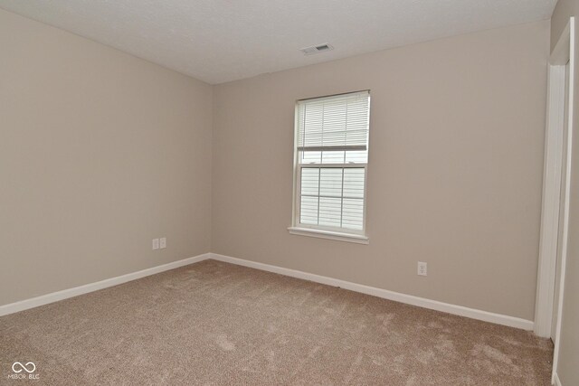 10722 Mistflower Way, Indianapolis, IN 46235 - spare room with carpet floors