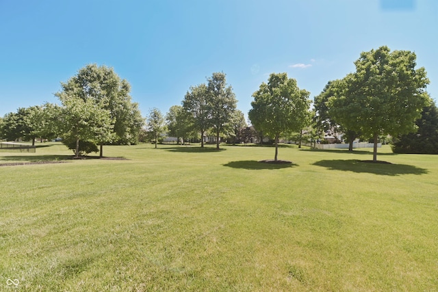 12677 Honors Dr, Carmel, IN 46033 - view of community featuring a lawn