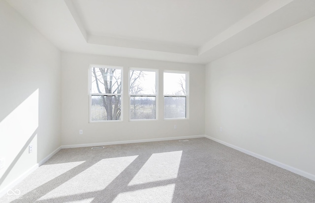 9741 Oleander Dr, Fishers, IN 46250 - spare room featuring a raised ceiling, carpet, and baseboards
