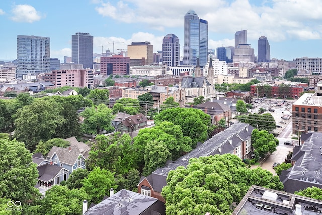 558 E Vermont St, Indianapolis, IN 46202 - view of city skyline