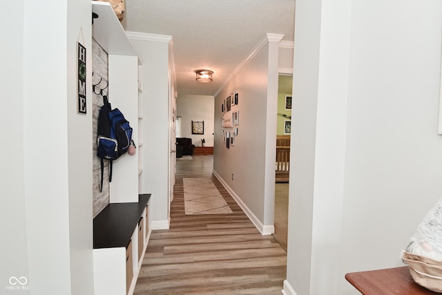 7515 Brattle Dr, Indianapolis, IN 46113 - hall with ornamental molding, light wood finished floors, a textured ceiling, and baseboards