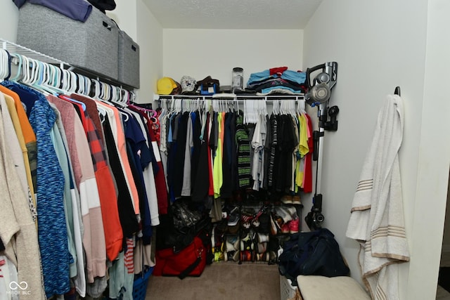 7515 Brattle Dr, Indianapolis, IN 46113 - spacious closet with carpet floors