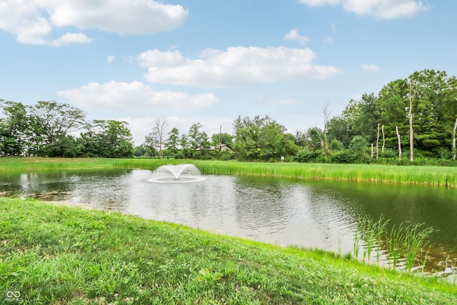 1108 Bevy Blvd, Danville, IN 46122 - water view