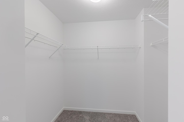 1108 Bevy Blvd, Danville, IN 46122 - spacious closet featuring carpet floors