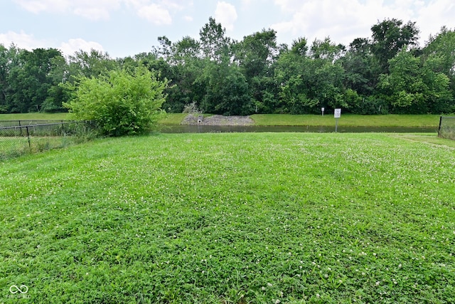 10431 Bellchime Ct, Indianapolis, IN 46235 - photo 27