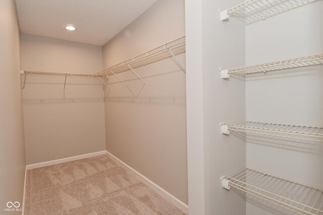 10431 Bellchime Ct, Indianapolis, IN 46235 - photo 22