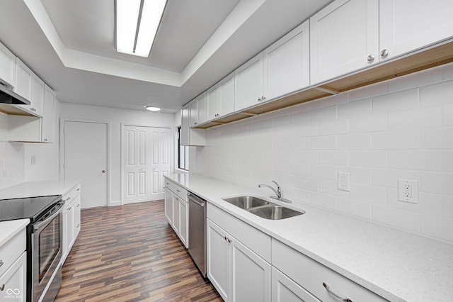 5097 Vantage Point Rd Unit B 2, Avon, IN 46123 - kitchen with stainless steel appliances, a sink, a raised ceiling, dark wood finished floors, and white cabinetry