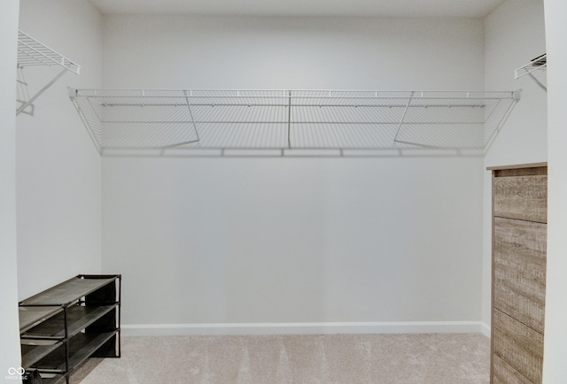 9829 Hulton Rd, Pendleton, IN 46064 - walk in closet with carpet flooring