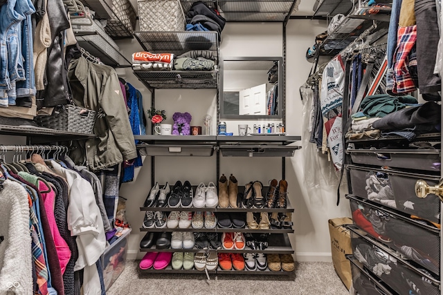 11919 Gatwick View Dr, Fishers, IN 46037 - spacious closet with carpet