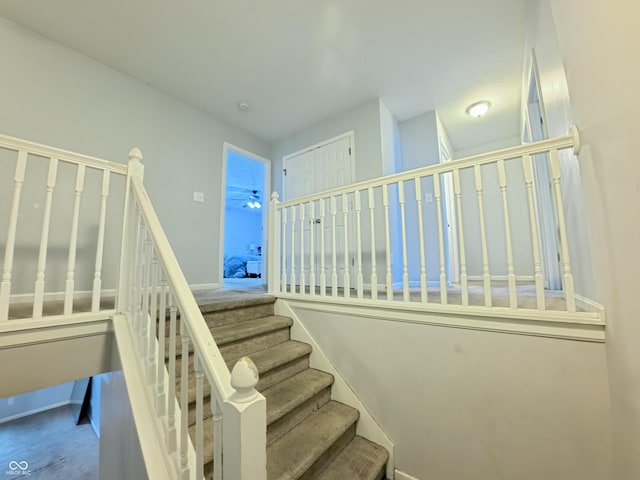 7851 Housefinch Ln, Indianapolis, IN 46239 - photo 34