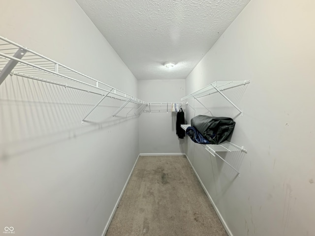 7851 Housefinch Ln, Indianapolis, IN 46239 - photo 48