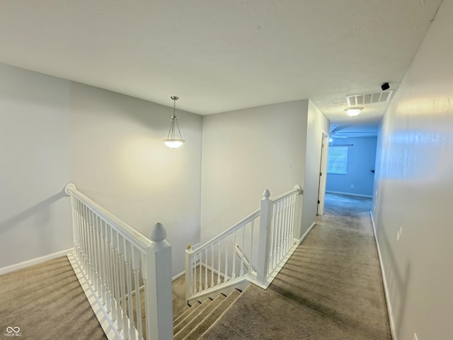 7851 Housefinch Ln, Indianapolis, IN 46239 - photo 35