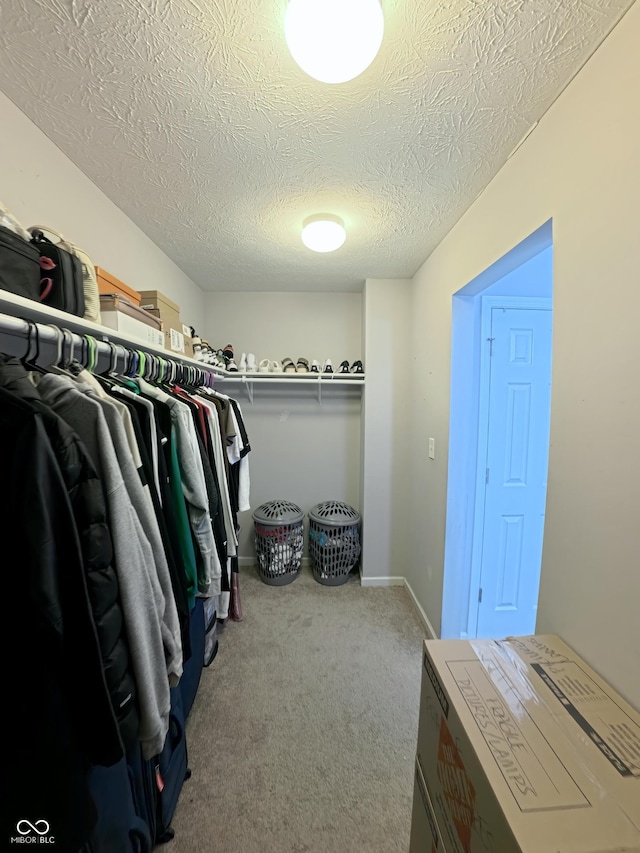 7851 Housefinch Ln, Indianapolis, IN 46239 - photo 59