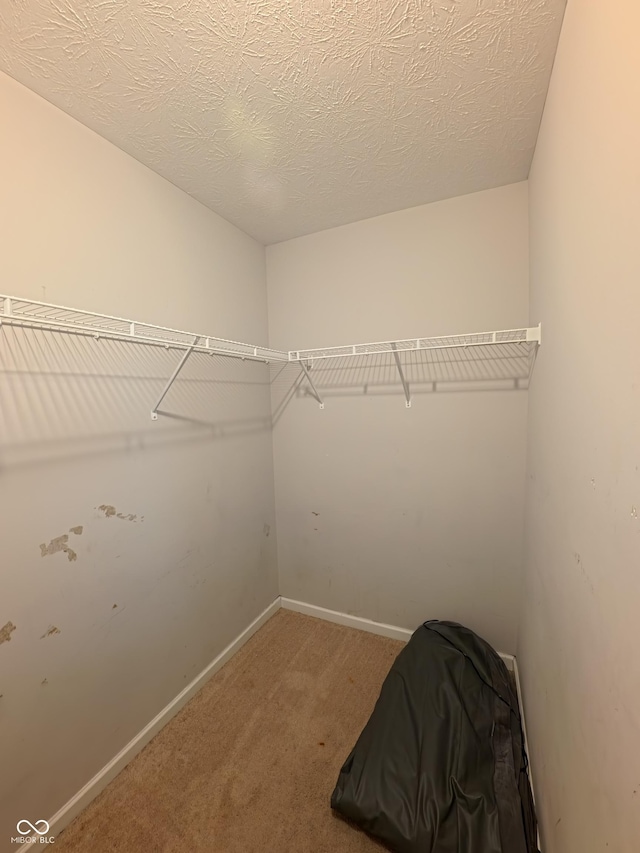 7851 Housefinch Ln, Indianapolis, IN 46239 - photo 75