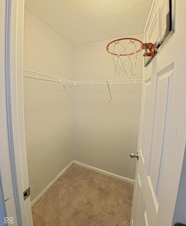 7851 Housefinch Ln, Indianapolis, IN 46239 - photo 69