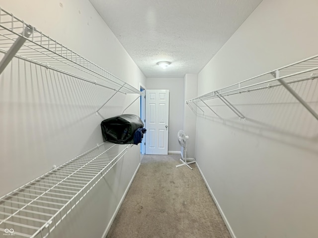 7851 Housefinch Ln, Indianapolis, IN 46239 - photo 49