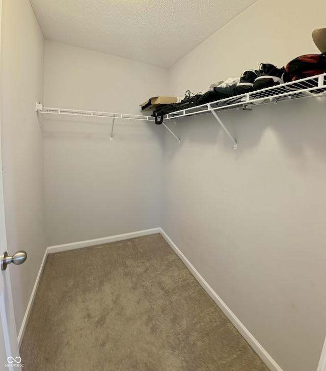 7851 Housefinch Ln, Indianapolis, IN 46239 - photo 61