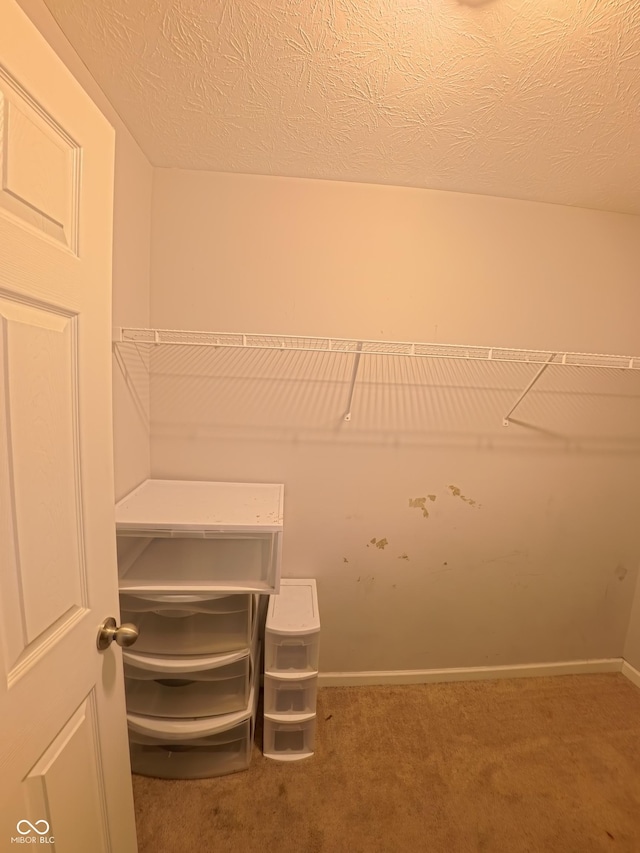 7851 Housefinch Ln, Indianapolis, IN 46239 - photo 76