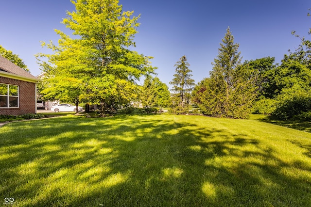734 Richland Way, Westfield, IN 46074 - view of grassy yard