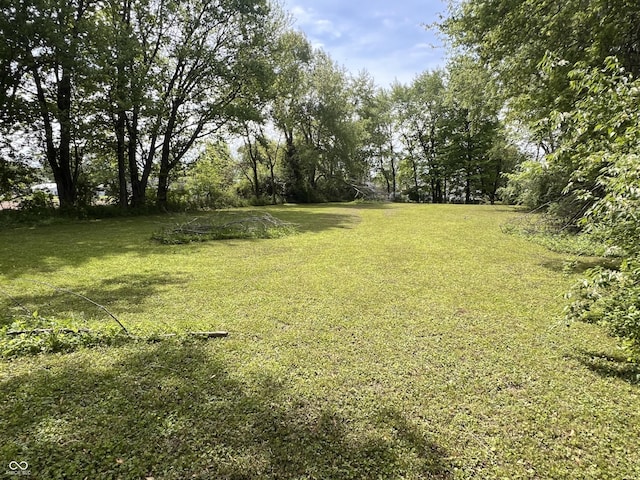5855 S County Road 800 E, Coatesville, IN 46121 - view of grassy yard