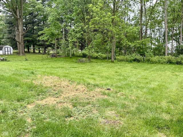 3325 Canaday Dr, Anderson, IN 46013 - view of green lawn