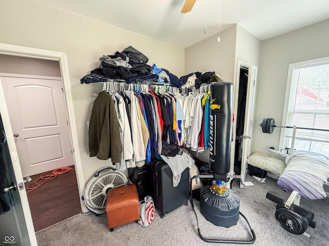 201 N Tacoma Ave, Indianapolis, IN 46201 - walk in closet featuring carpet flooring and ceiling fan
