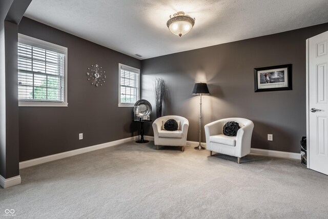 6649 Braemar Ave S, Noblesville, IN 46062 - photo 20