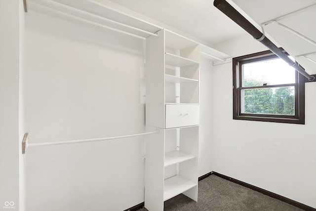 6838 Five Points Rd, Indianapolis, IN 46259 - spacious closet featuring carpet floors