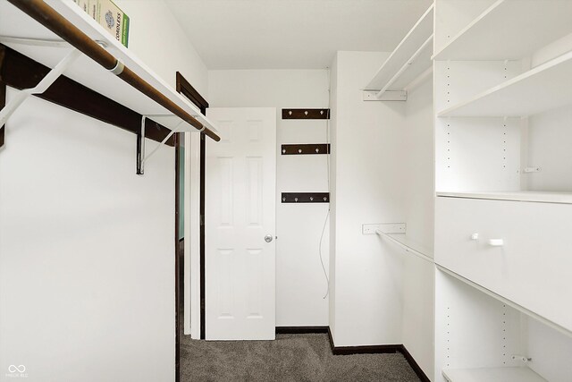 6838 Five Points Rd, Indianapolis, IN 46259 - spacious closet with carpet