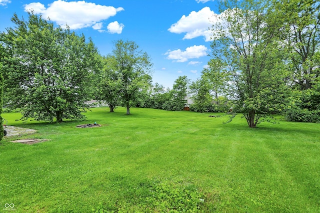 6838 Five Points Rd, Indianapolis, IN 46259 - view of grassy yard with view of wooded area