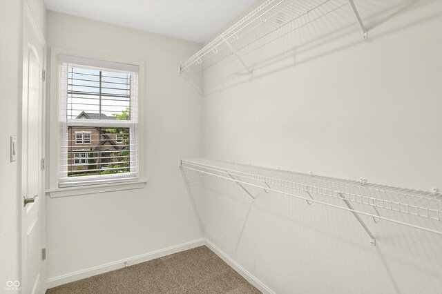 7046 Allegiance Ct, Indianapolis, IN 46259 - walk in closet featuring carpet