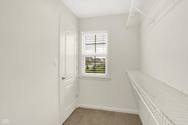7046 Allegiance Ct, Indianapolis, IN 46259 - walk in closet with carpet floors