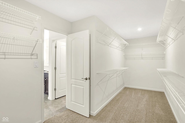 7046 Allegiance Ct, Indianapolis, IN 46259 - walk in closet featuring light colored carpet