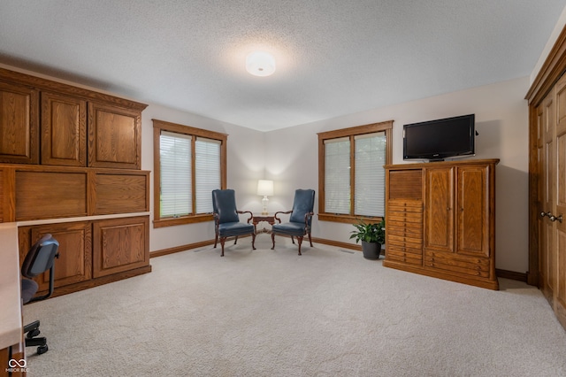 2411 N County Road 500 W, Muncie, IN 47304 - home office with carpet, baseboards, and a textured ceiling