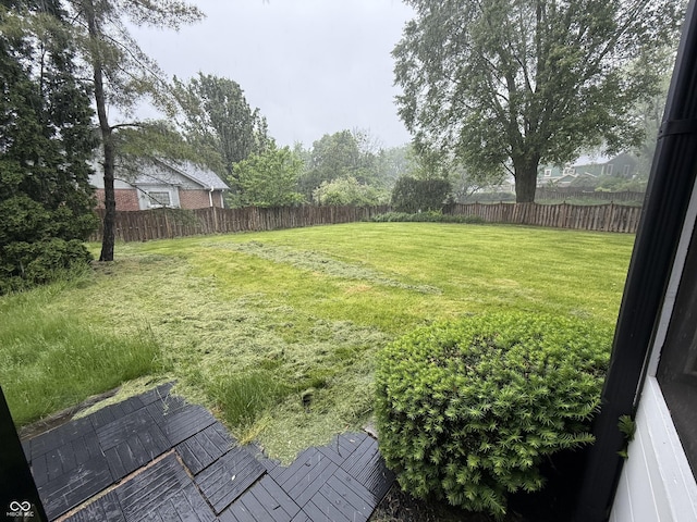 6609 N Tuxedo Ln, Indianapolis, IN 46220 - view of yard