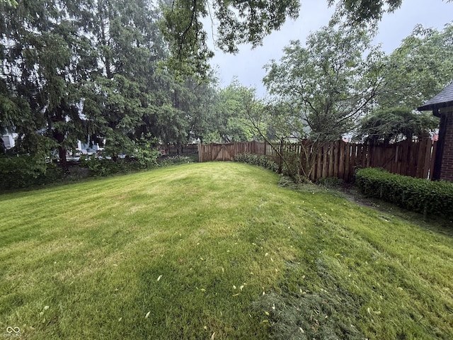 6609 N Tuxedo Ln, Indianapolis, IN 46220 - view of yard